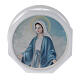 Virgin Mary rosary case print with twist top s1