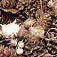 Christmas garland with golden cones s2
