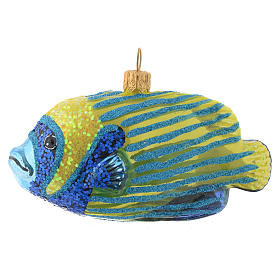 Blown glass Christmas ornament, emperor angelfish
