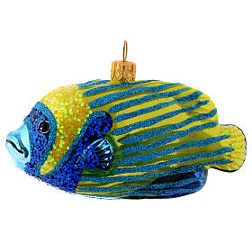 Blown glass Christmas ornament, emperor angelfish