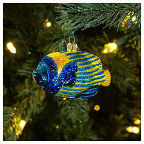 Emperor angelfis, bhlown glass Christmas ornament