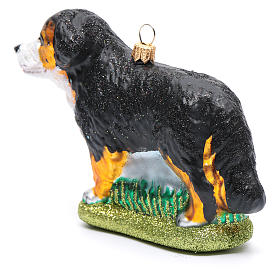 Blown glass Christmas ornament, Bernese Mountain dog