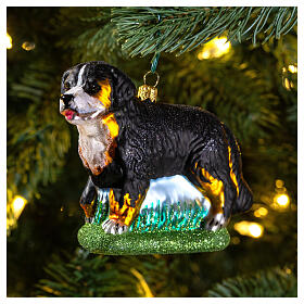 Blown glass Christmas ornament, Bernese Mountain dog