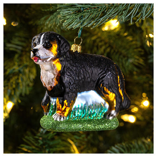Blown glass Christmas ornament, Bernese Mountain dog 2