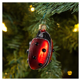 Blown glass Christmas ornament, ladybug