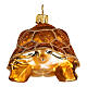 Blown glass Christmas ornament, Galápagos tortoise s5