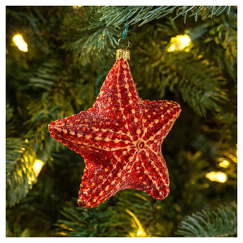 Estrela-do-mar adorno vidro soprado para árvore Natal 2