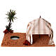 Nativity setting, oasis with tent s1