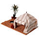 Oasi con tenda: ambientazione presepe s2