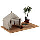 Nativity setting, oasis with tent s3