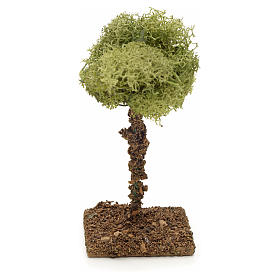 Alberello lichene 9 cm