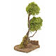 Nativity accessory, lichen tree for nativities 20cm s3