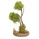 Arbre lichen en miniature pour crèche h 20 cm s1