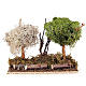 Nativity set accessory: set of trees with moss s2
