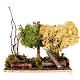 Nativity set accessory: set of trees with moss s3