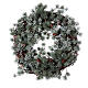 Christmas wreath with frozen larch, diameter 45 cm s1