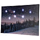 Tableau Noël paysage enneigé nocturne LED 40x60 cm s4