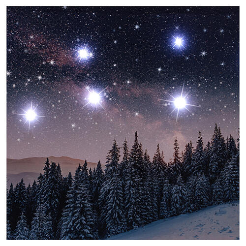 Obraz świąteczny - nocny zaśnieżony pejzaż LED, 40×60 cm 2