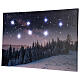 Obraz świąteczny - nocny zaśnieżony pejzaż LED, 40×60 cm s4