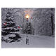 Snowy landscape black white, fiber optic lighted Christmas wall canvas, 30x40 cm s1