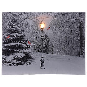 Quadro luminoso fibra ótica paisagem nevada branco e preto 30x40 cm
