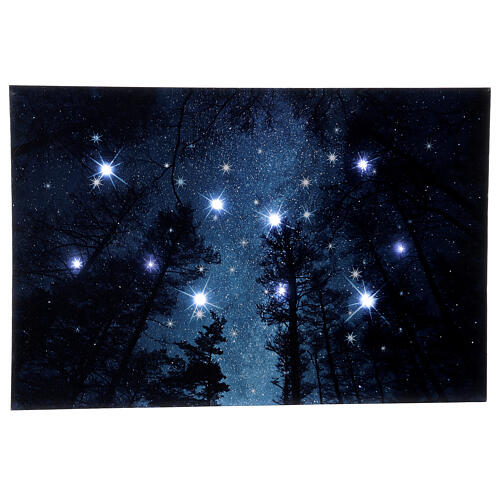 LED Gemälde Wald bei Nacht, 60x40 cm 1