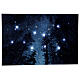 Quadro LED bosque e céu estrelado 60x40 cm s1