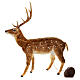 Renifer bożonarodzeniowy brązowy, poruszający się, z melodią, 170x140x45 cm, do wnętrz s1
