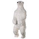 Urso polar branco de pé h 150 cm interior s1
