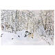 Fiber optic lighted Christmas canvas, snowy landscape with wolf, 40x60 cm s1