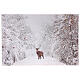 Quadro Natale fibra ottica paesaggio innevato bianco e nero cervo 40x60 cm s1