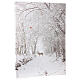 Cuadro luminoso navideño fibra óptica paisaje nevado senda 40x30 cm s2