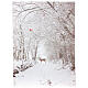 Pejzaż ośnieżony ze ścieżką, bożonarodzeniowy obraz podświetlany światłowodowy 40x30 cm s1
