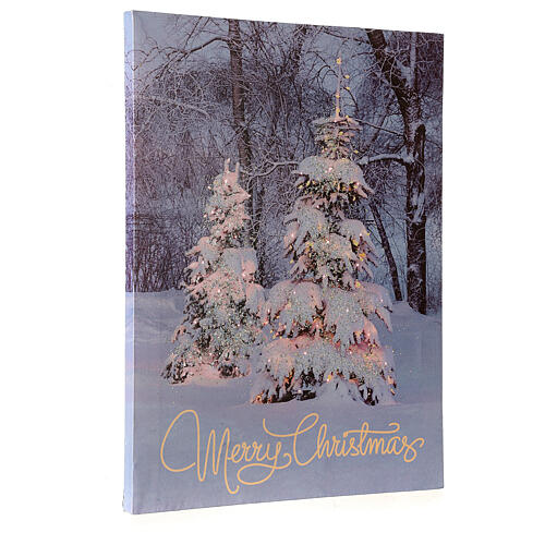 Quadro luminoso natalizio fibra ottica glitter Merry Christmas 40x30 cm 2