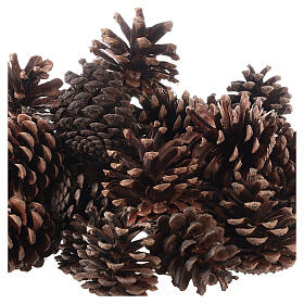 Christmas natural pinecones 600 g