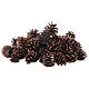 Christmas natural pinecones 600 g s1