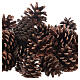 Christmas natural pinecones 600 g s2