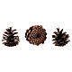 Christmas natural pinecones 600 g s3