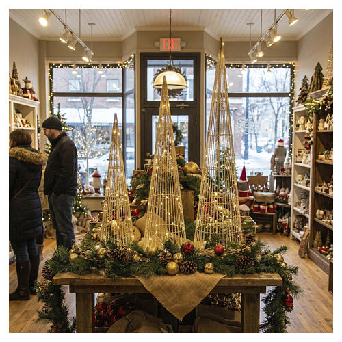 Set of 3 Christmas trees with warm LED lights 80-100-120 cm 2