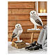 Set dos lechuzas blancas y grises con plumas naturales 50x35x25 cm s2