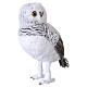 Set of Two White and Grey Owls with Natural Feathers, 50x35x25 cm s4