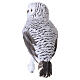 Set of Two White and Grey Owls with Natural Feathers, 50x35x25 cm s5