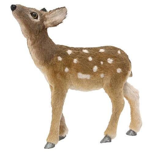 Realistic roe deer fawn with spotted coat, 13x15x4 in 1