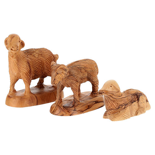 Bethlehem olive wood nativity 22 cm 14