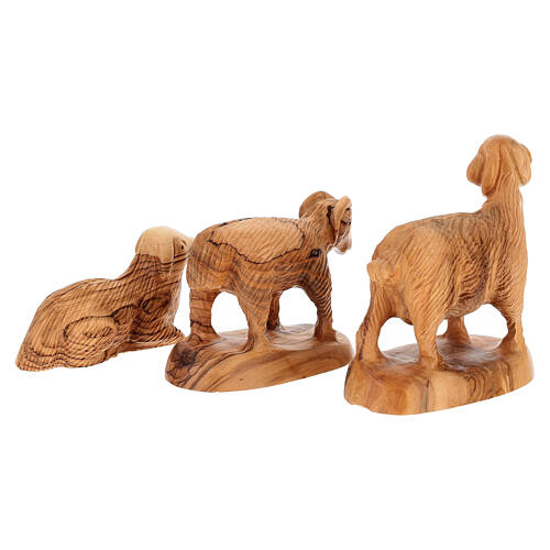 Bethlehem olive wood nativity 22 cm 19