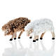 Nativity set accessory Bent head sheep 12 cm mixed colors s1