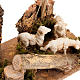 Nativity setting, sheep and trees 8 - 10 cm s2