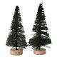Pino verde per presepe fai da te 2 PZ mod. assortiti s1