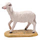Sheep figurine, Val Gardena Model 12cm s1