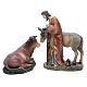 Complete nativity set in resin, 8 figurines 21cm s4